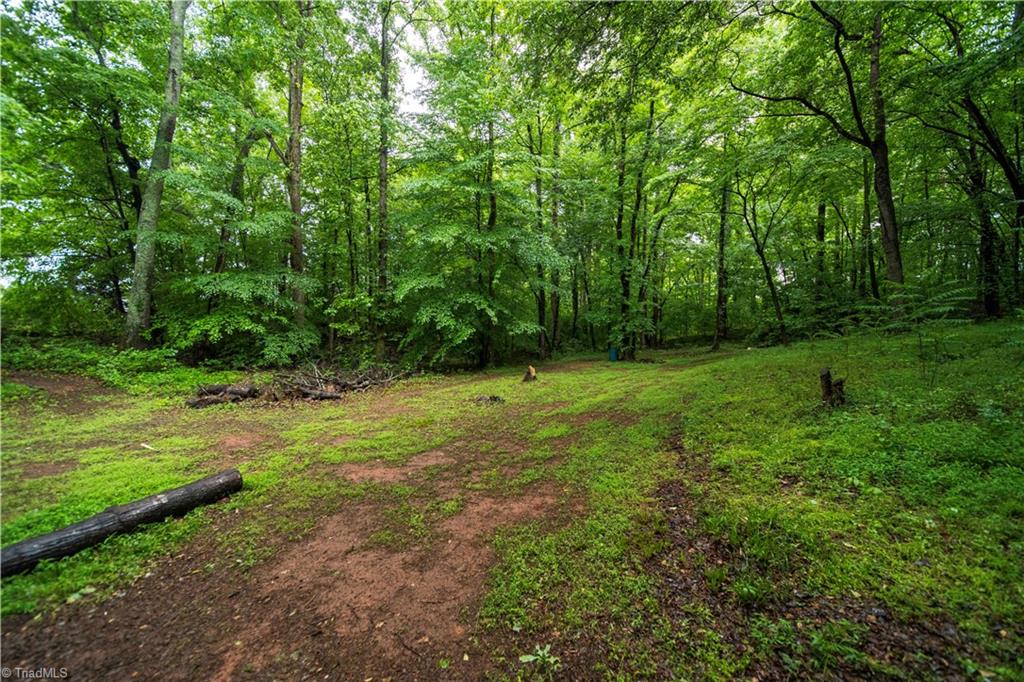 3137 Baltimore Road East Bend, NC 27018 - Photo 20 of 22 Gallery Image 20