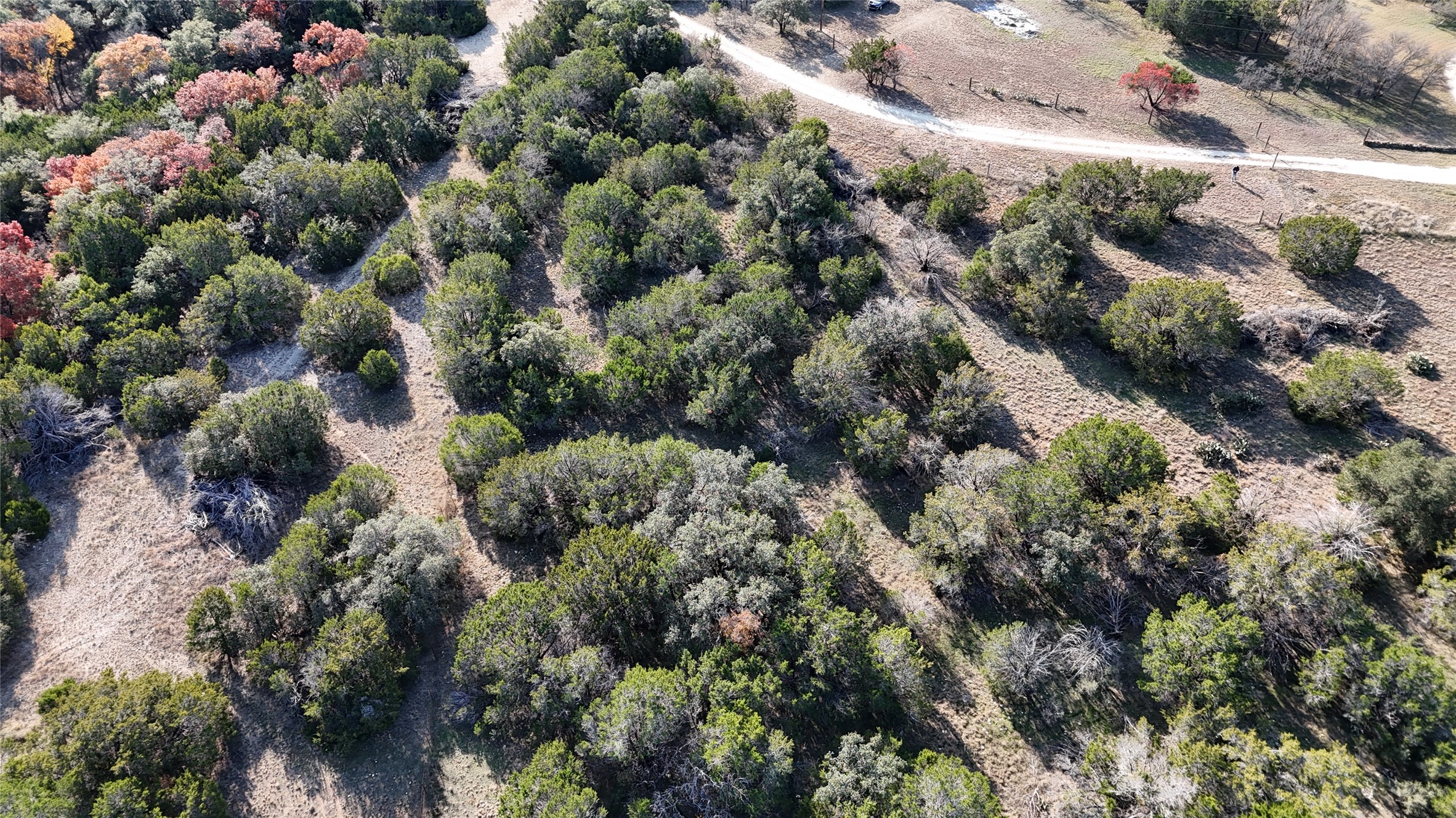1945 South County Road 289 Georgetown, TX 78633 - Photo 4 of 6 View of property location