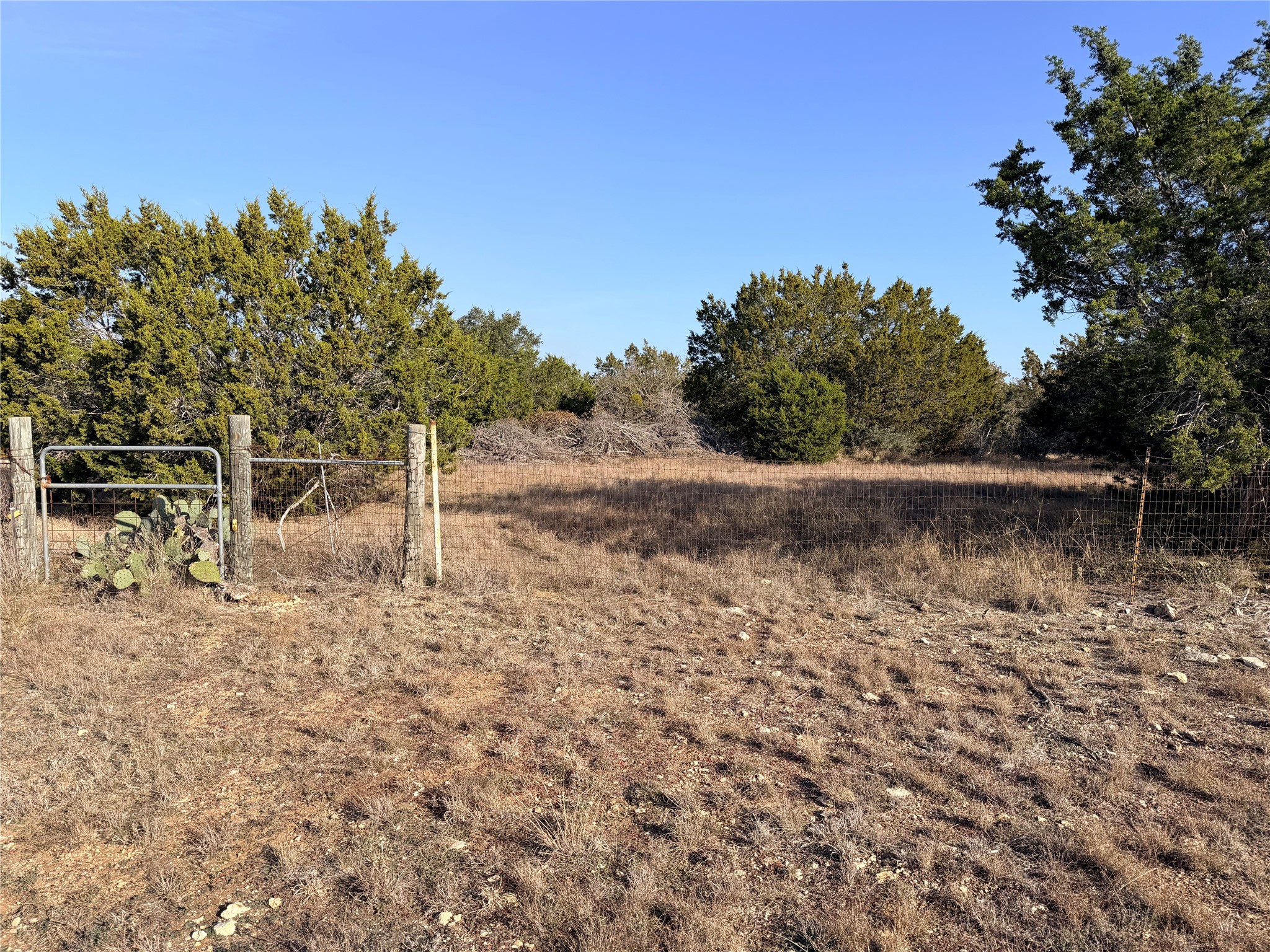 1945 South County Road 289 Georgetown, TX 78633 - Photo 6 of 6 View of yard