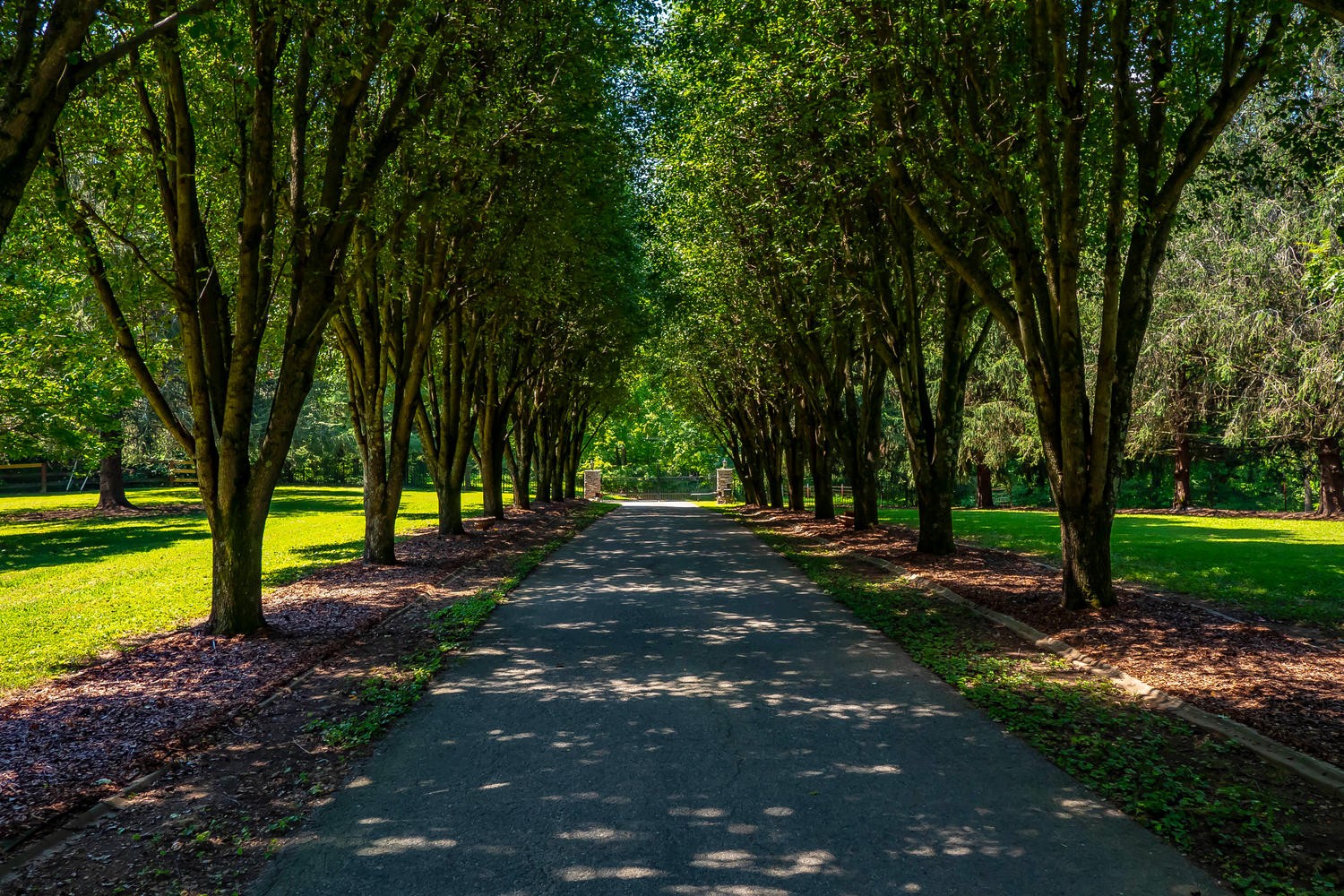 5922 Cane Ridge Road Antioch, TN 37013 - Photo 4 of 50 a view of a park with large trees