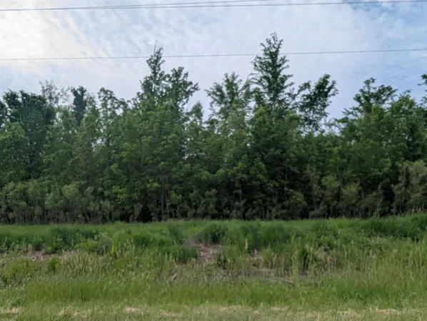 $189,900 | N/a East Twining Road, Au Gres, MI 48703