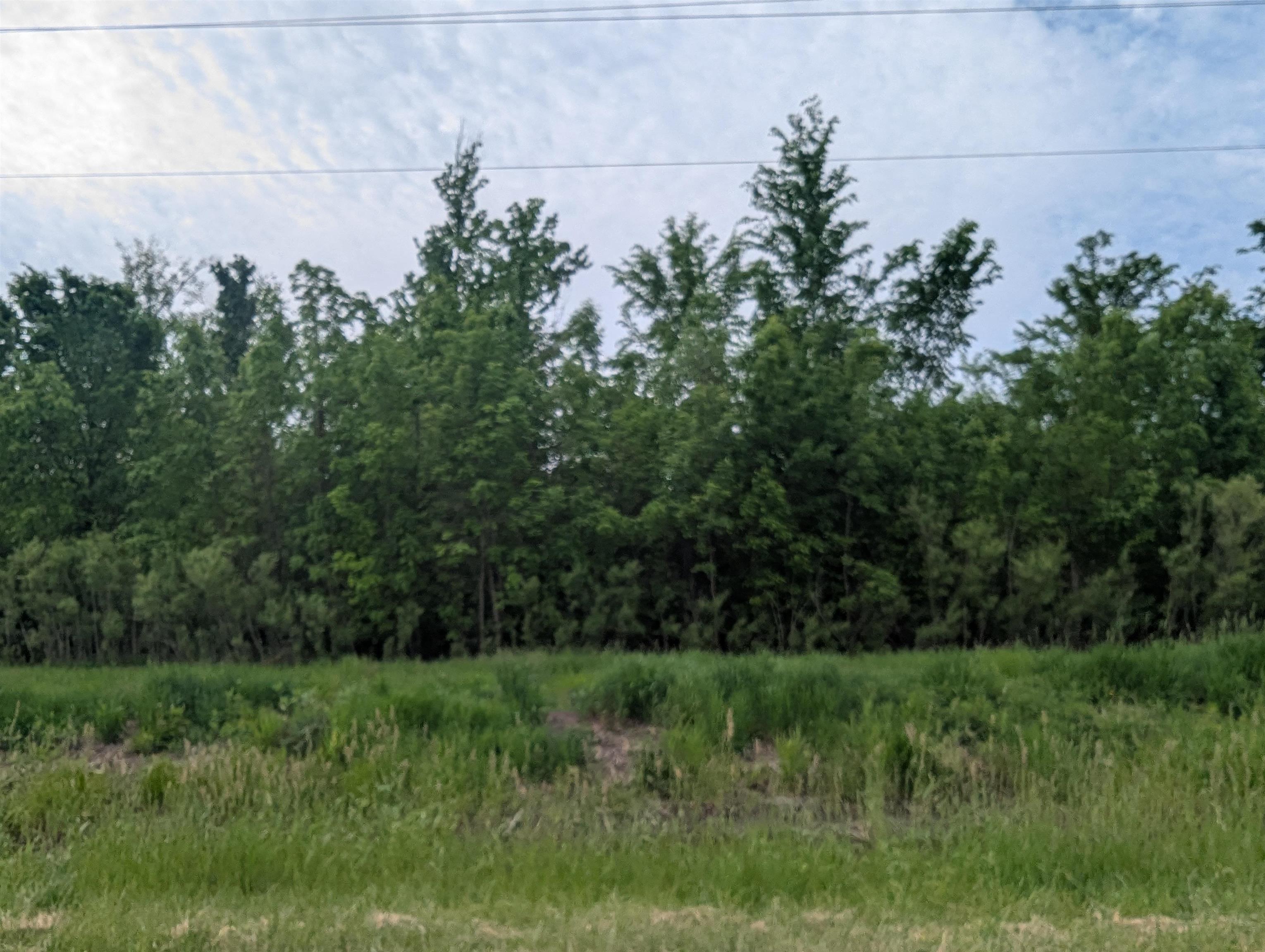 N/a Twining Road Turner, MI 48765 - Photo 1 of 8 1934844-ad071c34-f935-4cb3-8f8d-a2a78277a720.JPG