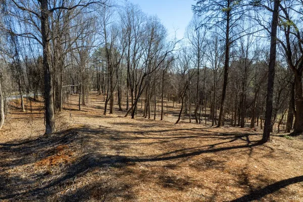 a view of road with trees