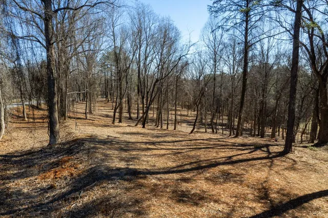 a view of road with trees