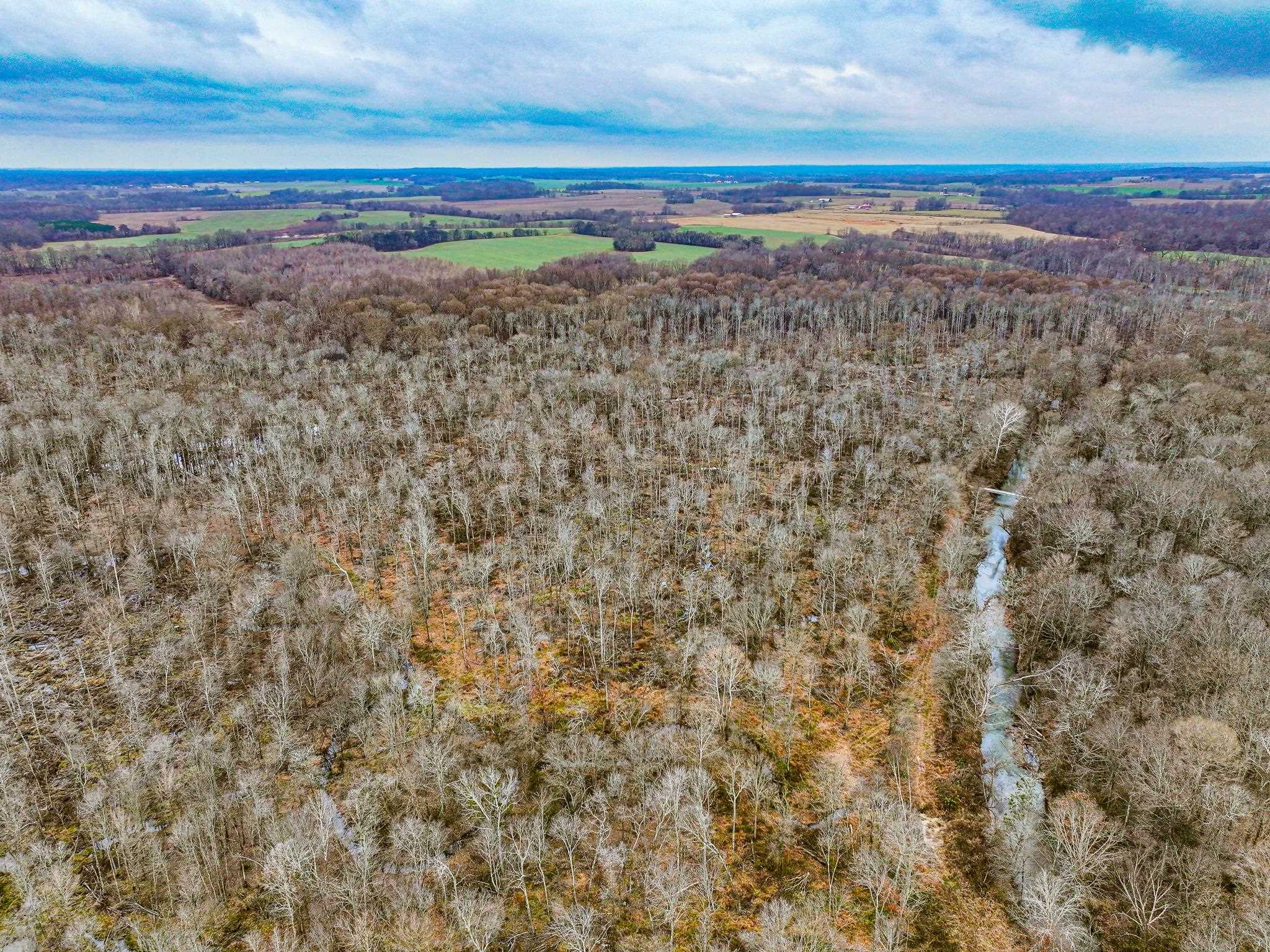0 Puryear Road Cottage Grove, TN 38224 - Photo 30 of 40 Bird's eye view of a heavily wooded area