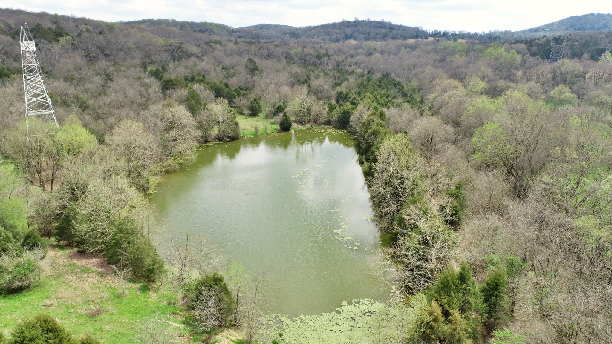 4 Sneed Lane Lebanon, TN 37087 - Photo 3 of 10 a view of a lake in middle of forest