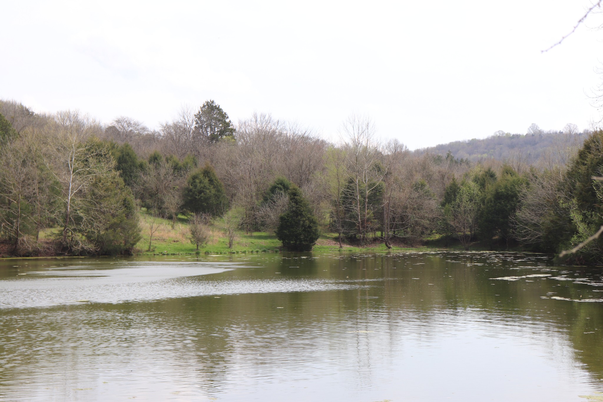 4 Sneed Lane Lebanon, TN 37087 - Photo 4 of 10 a view of a lake view with mountain