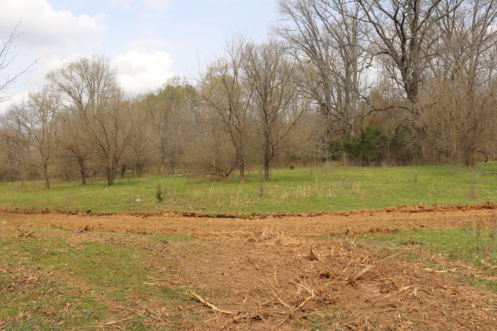 4 Sneed Lane Lebanon, TN 37087 - Photo 6 of 10 a view of a lake view