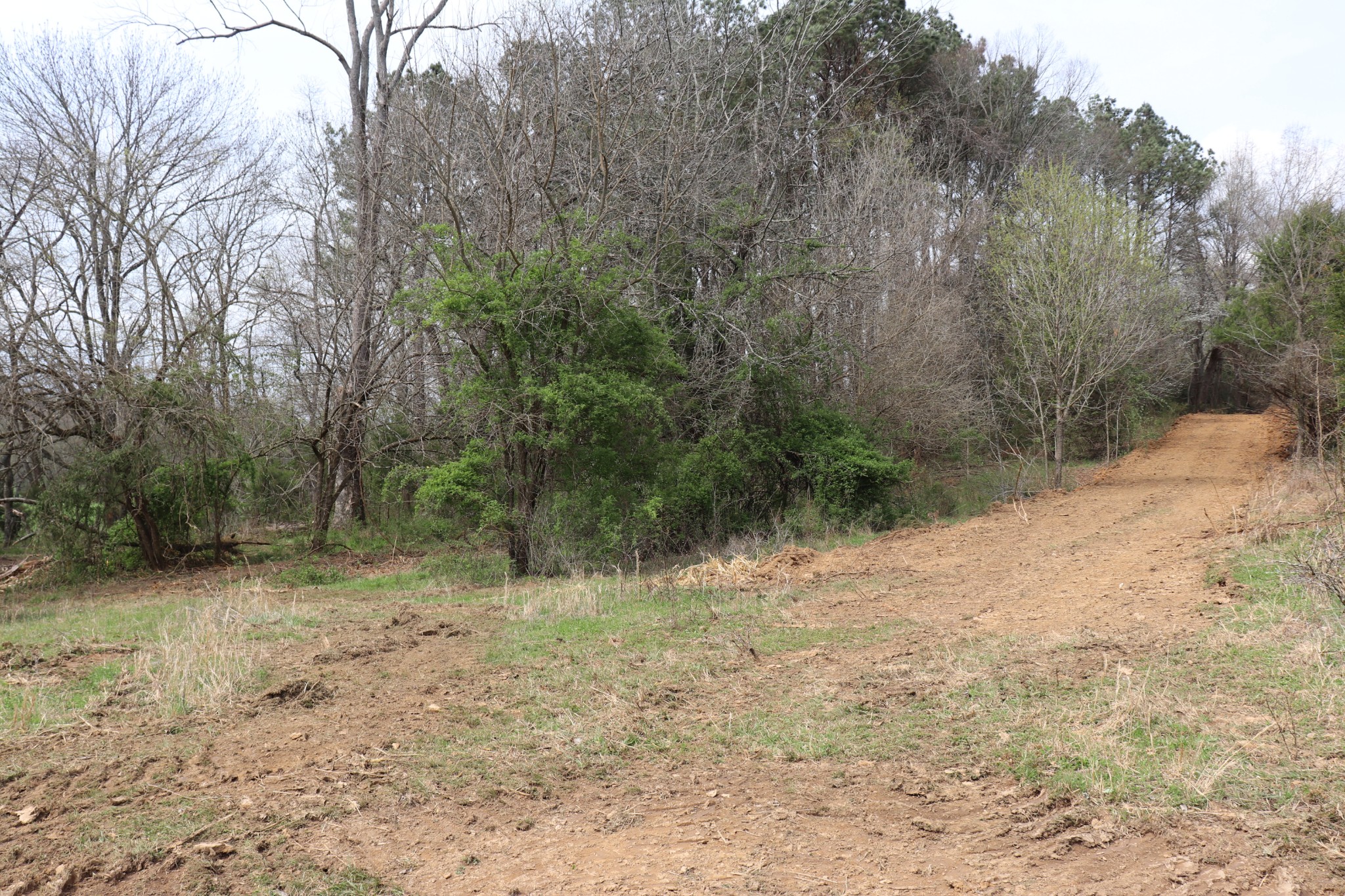 4 Sneed Lane Lebanon, TN 37087 - Photo 7 of 10 a view of a yard with a tree