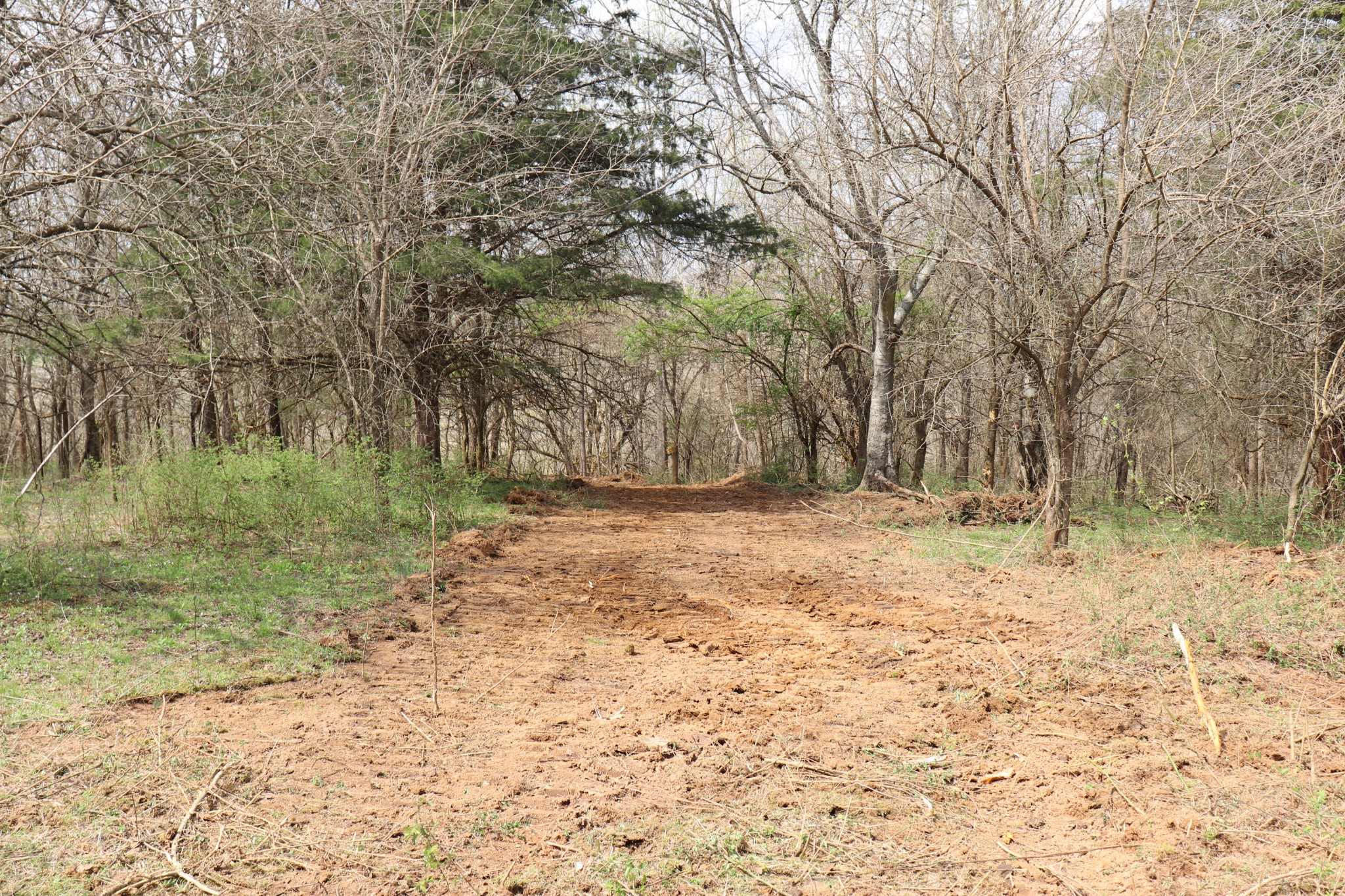 4 Sneed Lane Lebanon, TN 37087 - Photo 8 of 10 a view of outdoor space with trees