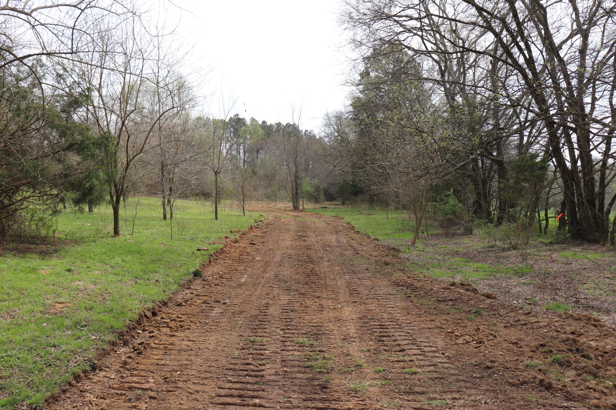 4 Sneed Lane Lebanon, TN 37087 - Photo 9 of 10 a view of outdoor space with trees