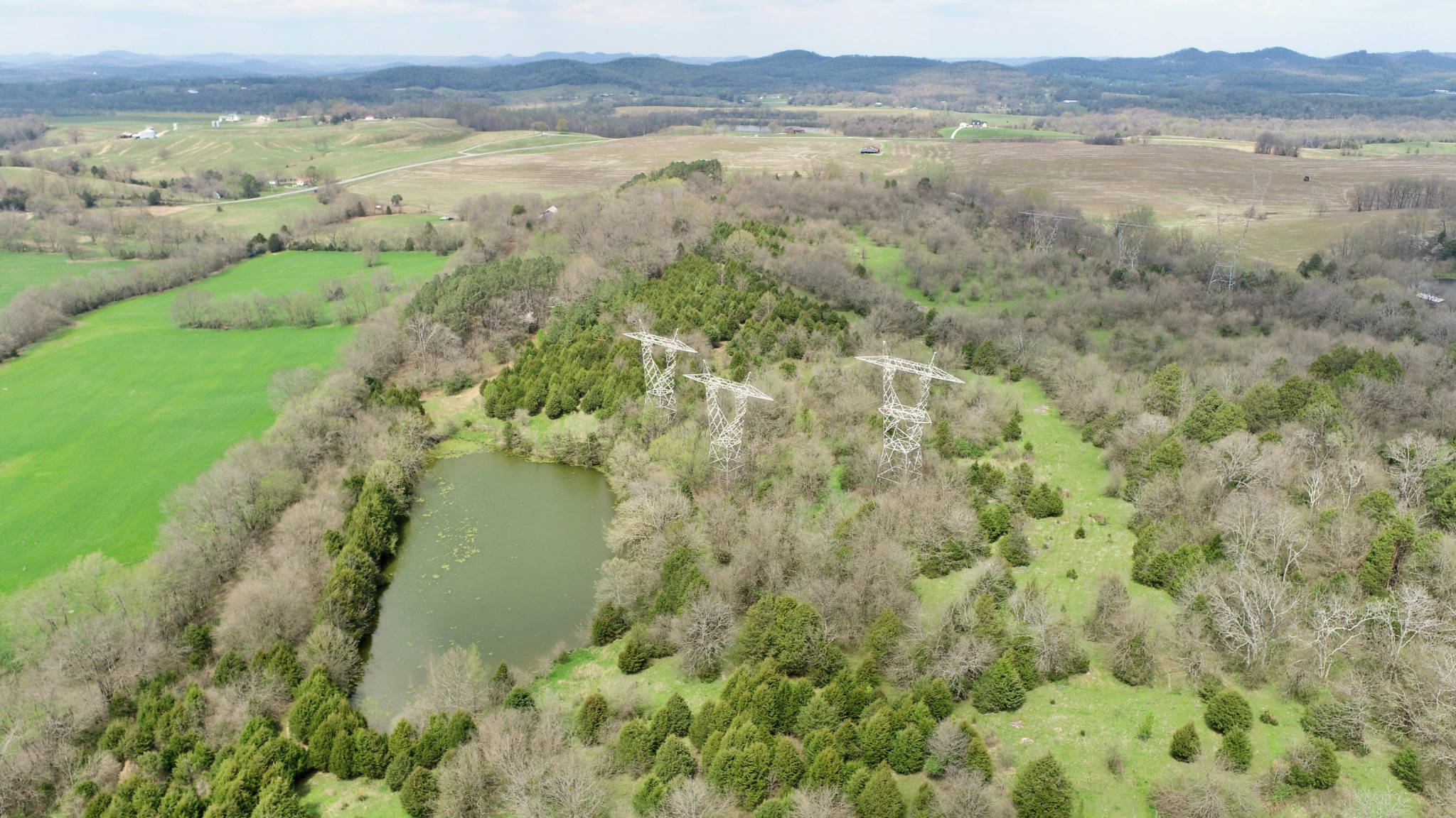 4 Sneed Lane Lebanon, TN 37087 - Photo 10 of 10