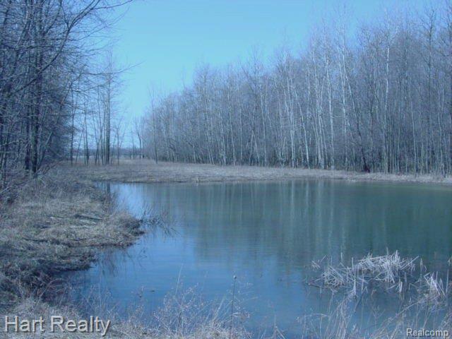 3750 McMillan Road Bad Axe, MI 48413 - Photo 2 of 8 016.JPG