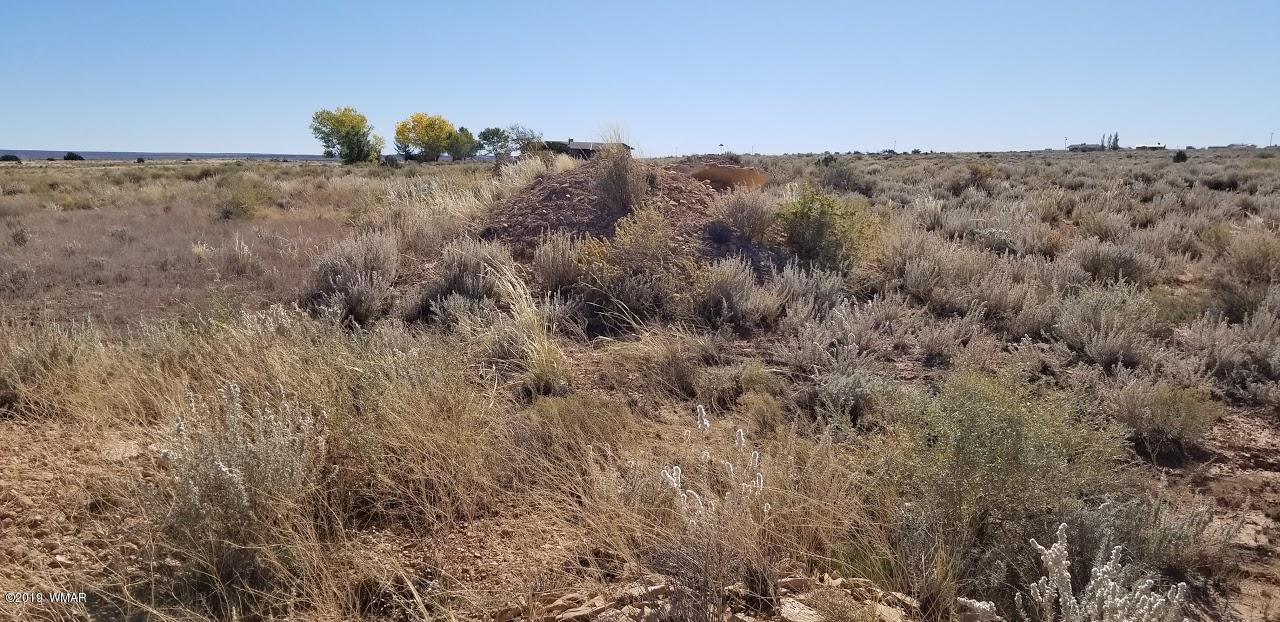 Tbd Concho Road Snowflake, AZ 85937 - Photo 1 of 25