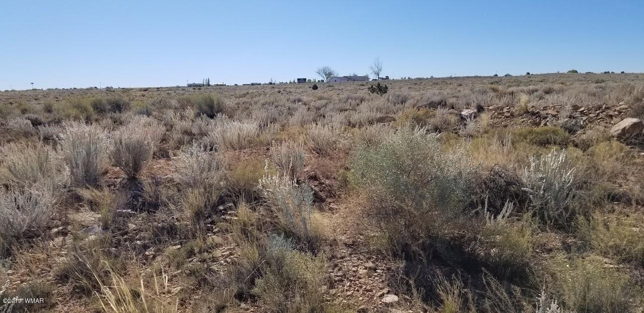 Tbd Concho Road Snowflake, AZ 85937 - Photo 11 of 25