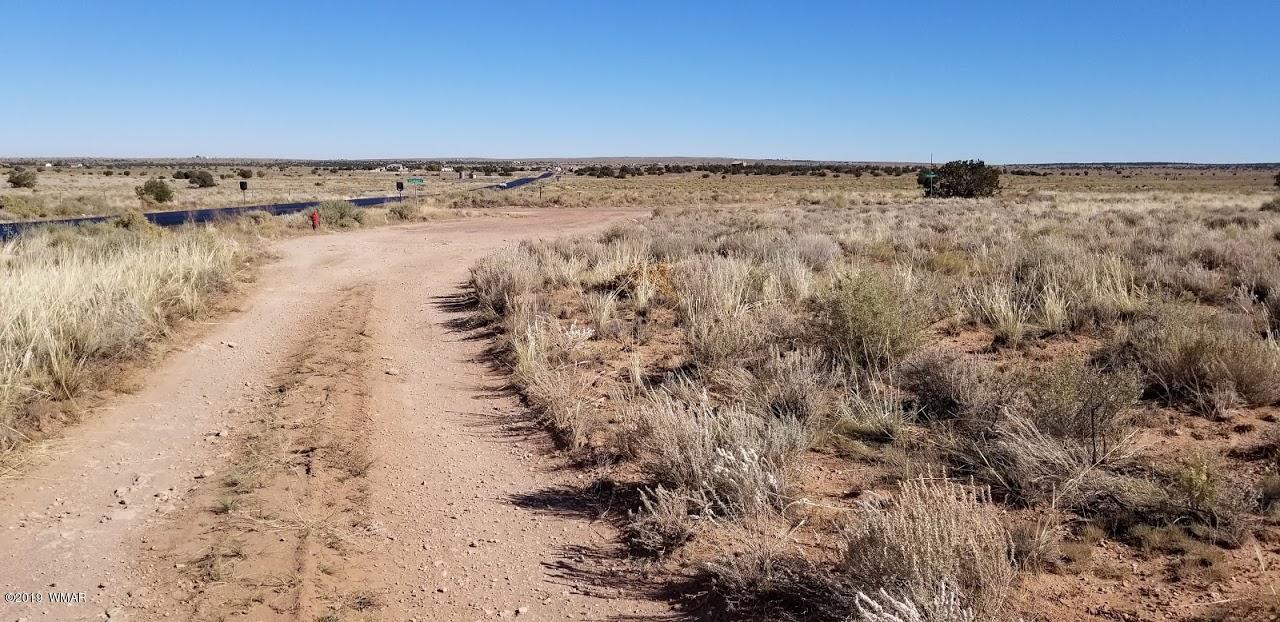 Tbd Concho Road Snowflake, AZ 85937 - Photo 12 of 25