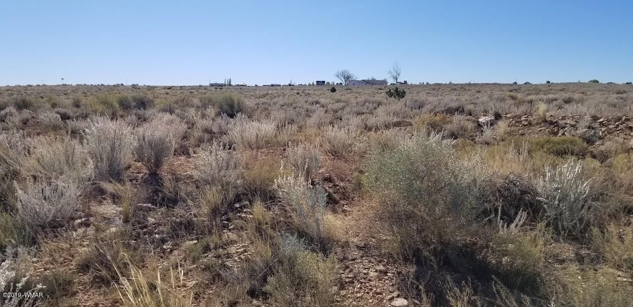 Tbd Concho Road Snowflake, AZ 85937 - Photo 13 of 25