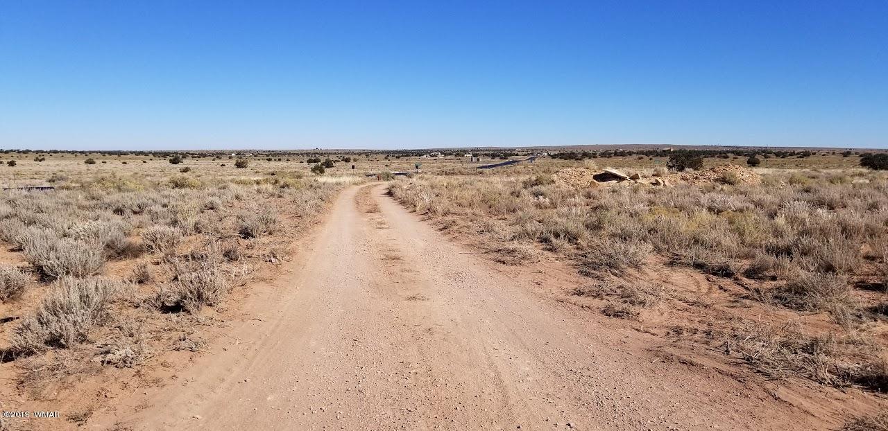 Tbd Concho Road Snowflake, AZ 85937 - Photo 17 of 25