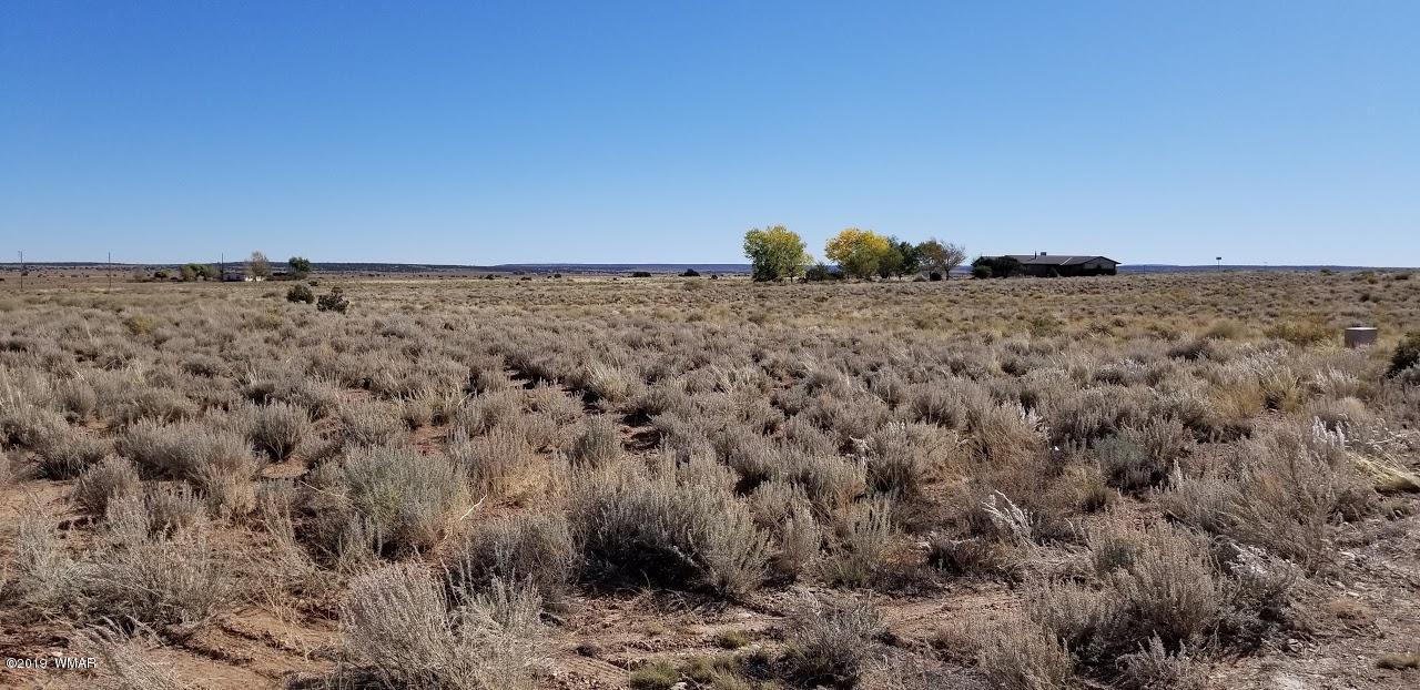 Tbd Concho Road Snowflake, AZ 85937 - Photo 2 of 25