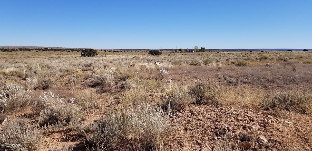 Tbd Concho Road Snowflake, AZ 85937 - Photo 22 of 25