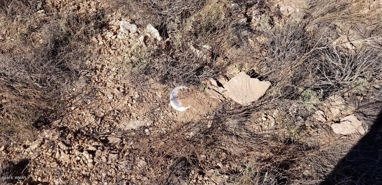 Tbd Concho Road Snowflake, AZ 85937 - Photo 24 of 25