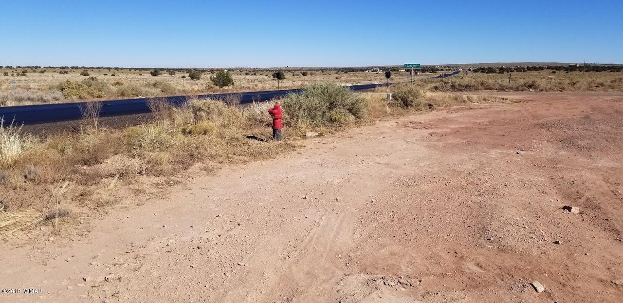 Tbd Concho Road Snowflake, AZ 85937 - Photo 3 of 25