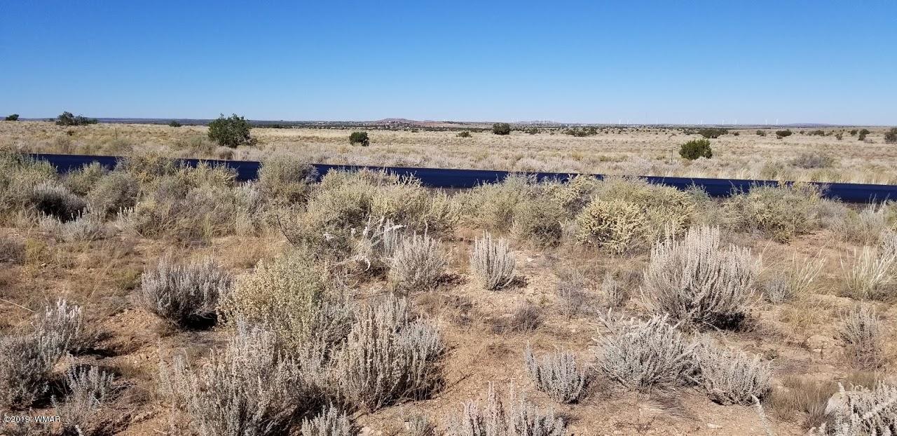 Tbd Concho Road Snowflake, AZ 85937 - Photo 5 of 25