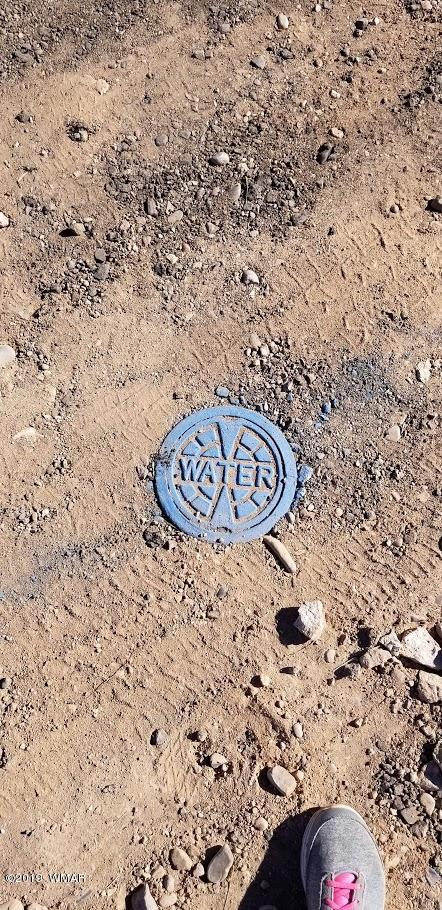 Tbd Concho Road Snowflake, AZ 85937 - Photo 8 of 25