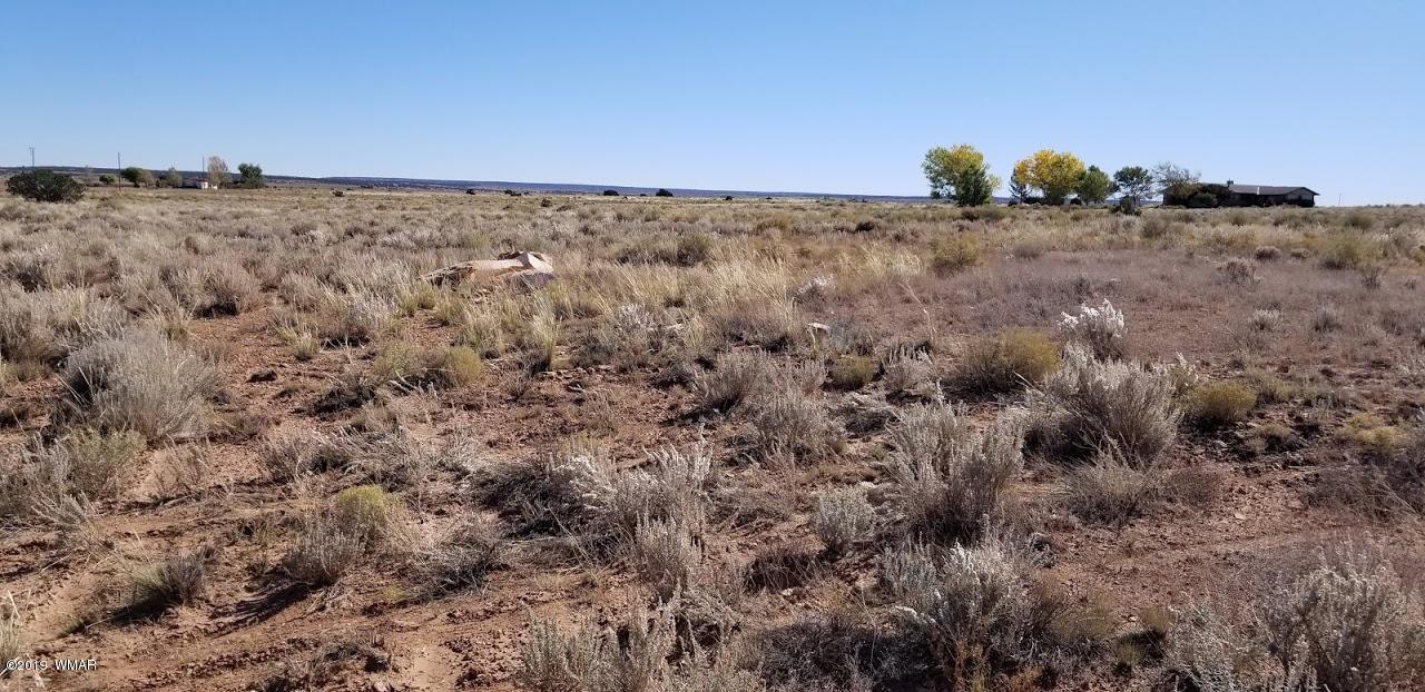 Tbd Concho Road Snowflake, AZ 85937 - Photo 10 of 25
