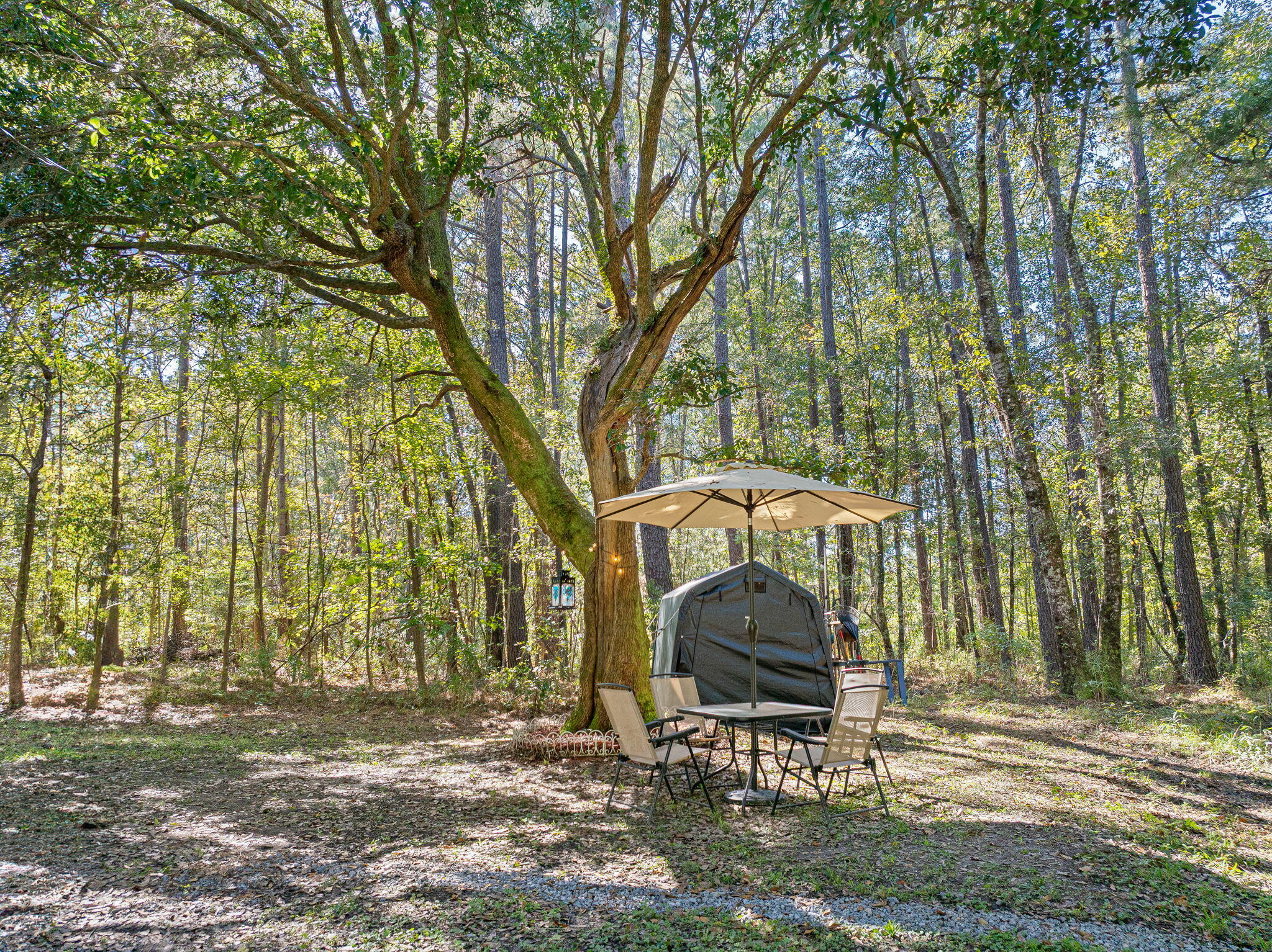 6985 State Rd S-10-1447 Ravenel, SC 29470 - Photo 19 of 23 39-web-or-mls-6984MoberryRd.NicoleBurbag