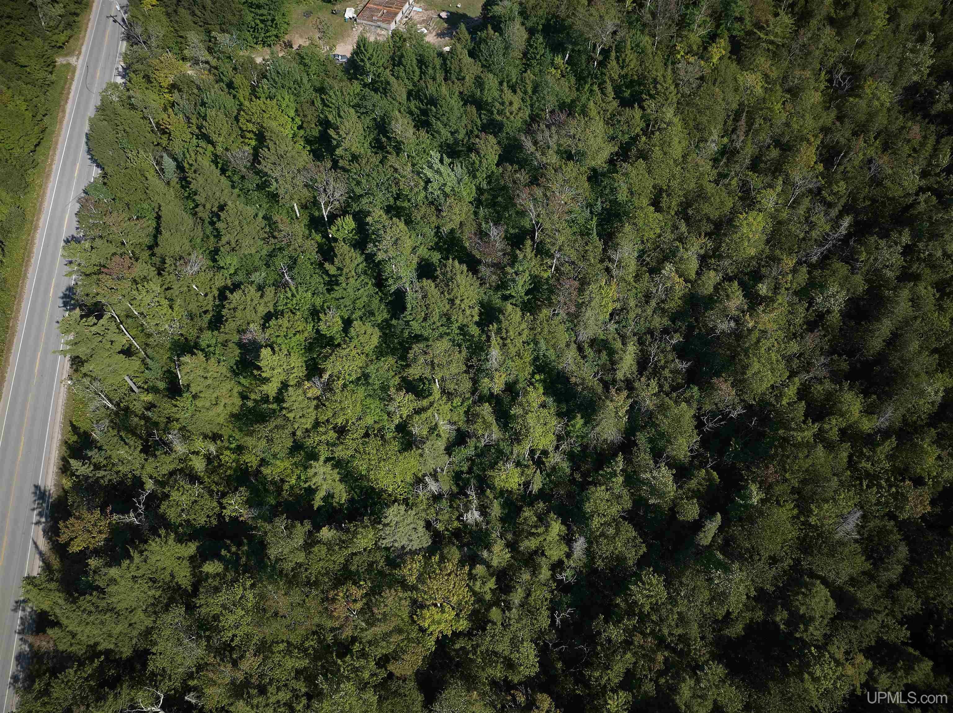 Tbd Tbd H-58 Road Munising, MI 49862 - Photo 21 of 22 Gallery Image 21