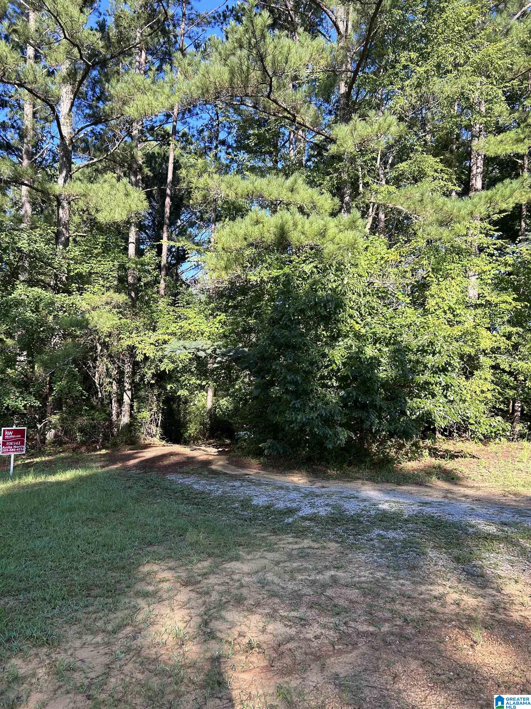 9672 Silley Dean Road, Unit MOORES SUBDIVISION Pinson, AL 35126 - Photo 2 of 8