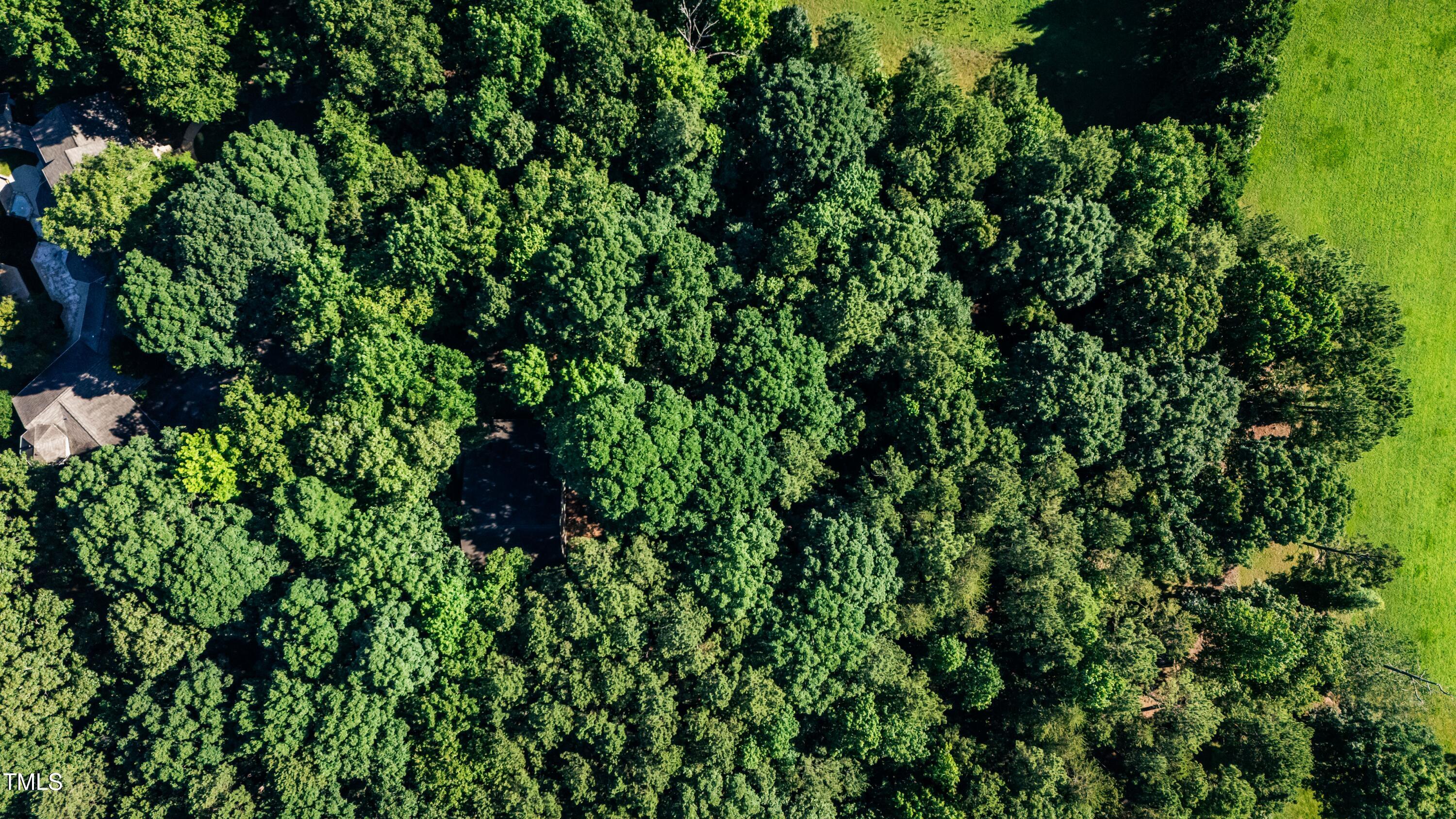 7001 Rosewood Park Raleigh, NC 27613 - Photo 3 of 3 a view of a lush green forest