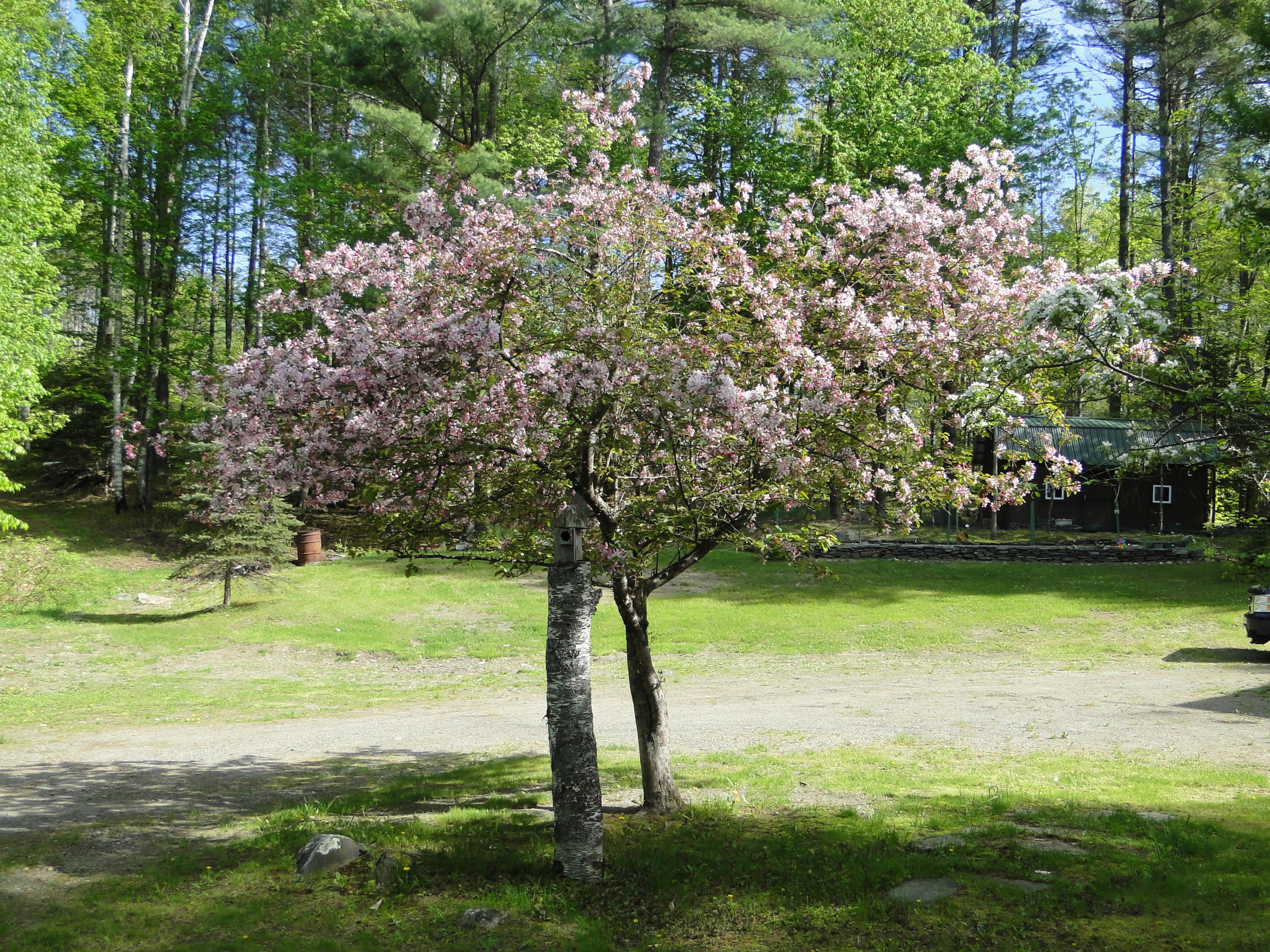753 Bowerbank Road Dover-Foxcroft, ME 04426 - Photo 26 of 31 28
