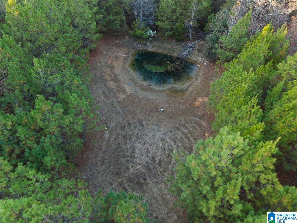 1660 Feddisburg Road Alpine, AL 35014 - Photo 8 of 39