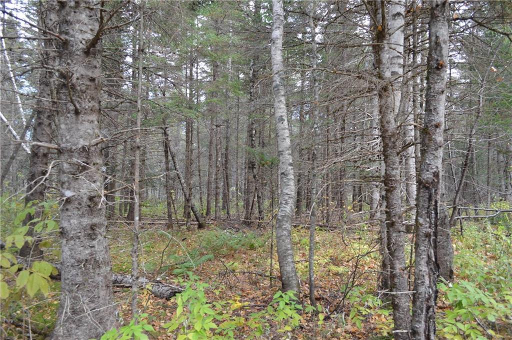 62 Averill Road Springfield, ME 04487 - Photo 18 of 18 Photo