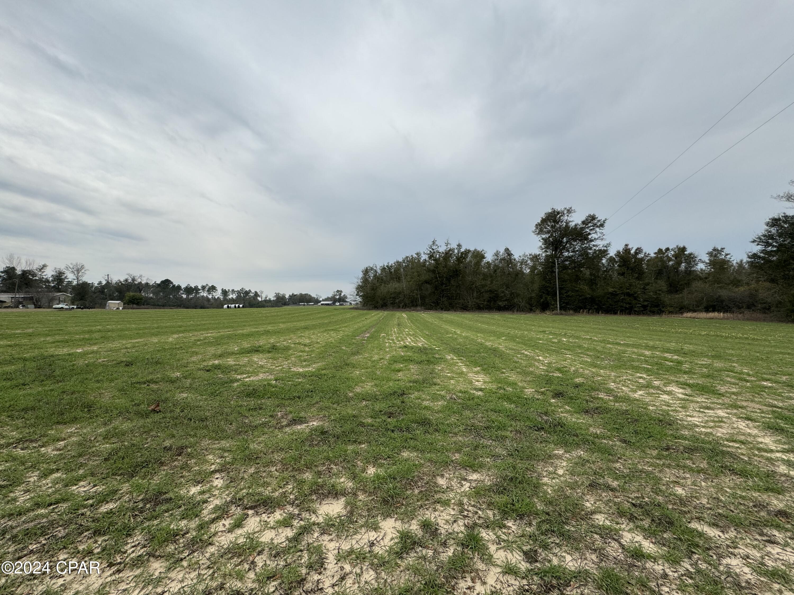 0 Calhoun Road Greenwood, FL 32443 - Photo 1 of 5 Gallery Image 1