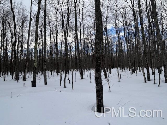 53554 North Superior Road Houghton, MI 49931 - Photo 14 of 41