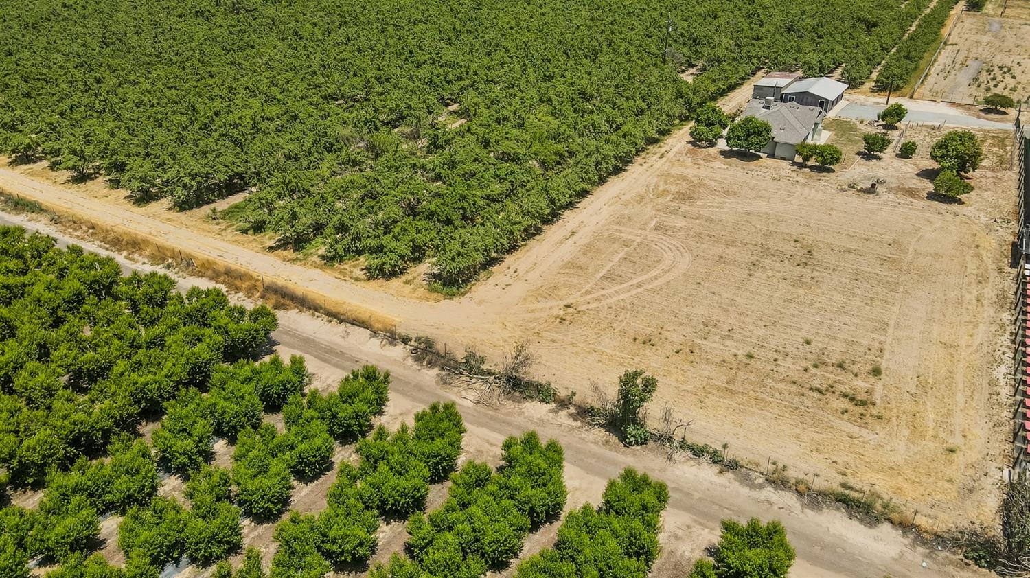 37991 Pound Road Dinuba, CA 93618 - Photo 12 of 32 view of a forest with a yard