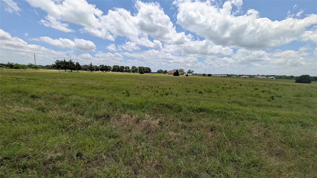 23623 Alexander Road Pilot Point, TX 76258 - Photo 9 of 10 land