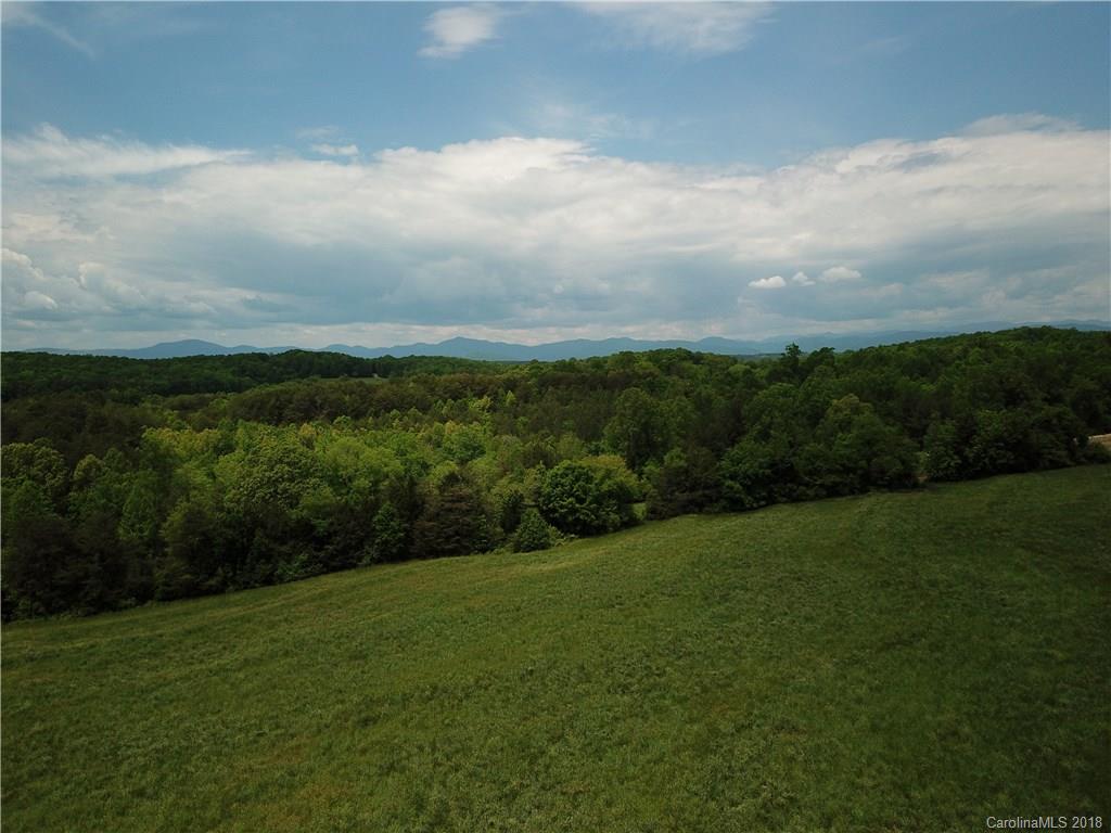 a view of a city with lush green forest