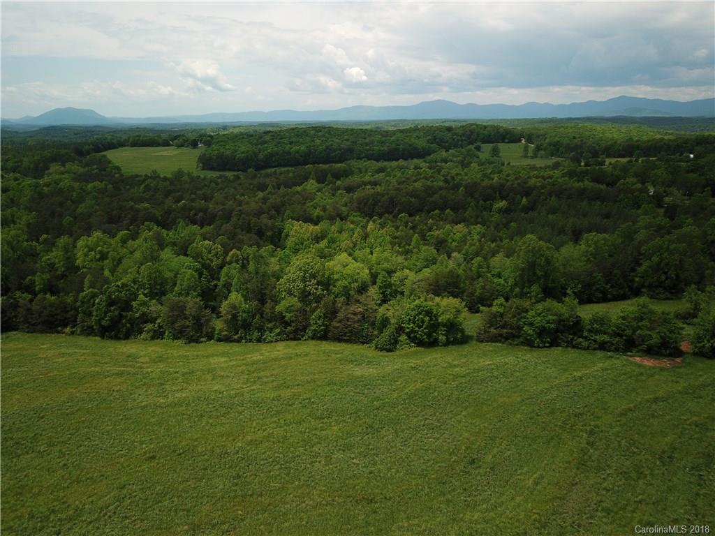 0 David Sims Road Rutherfordton, NC 28139 - Photo 3 of 7 a view of a grassy field with trees