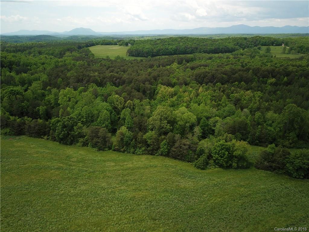 0 David Sims Road Rutherfordton, NC 28139 - Photo 4 of 7 a view of a green field with lots of bushes