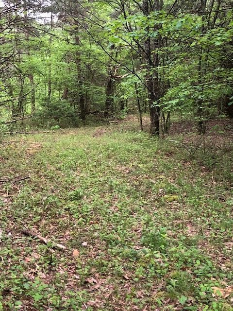 887 Swicegood Road Crossville, TN 38571 - Photo 4 of 19