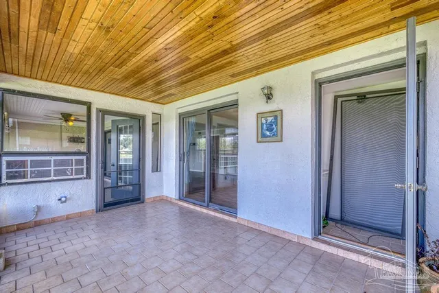 a view of a big yard with plants and large trees