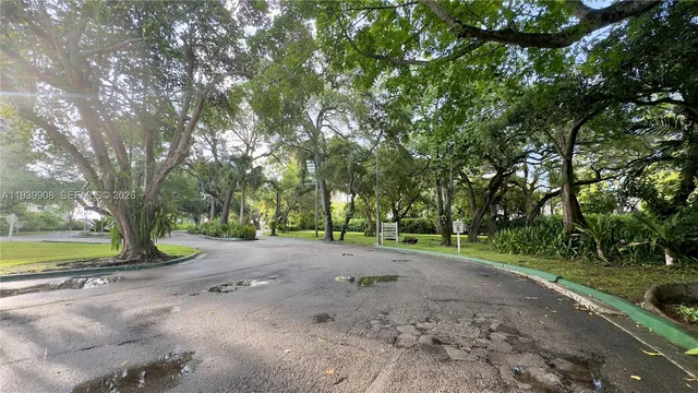 a plant with lots of trees