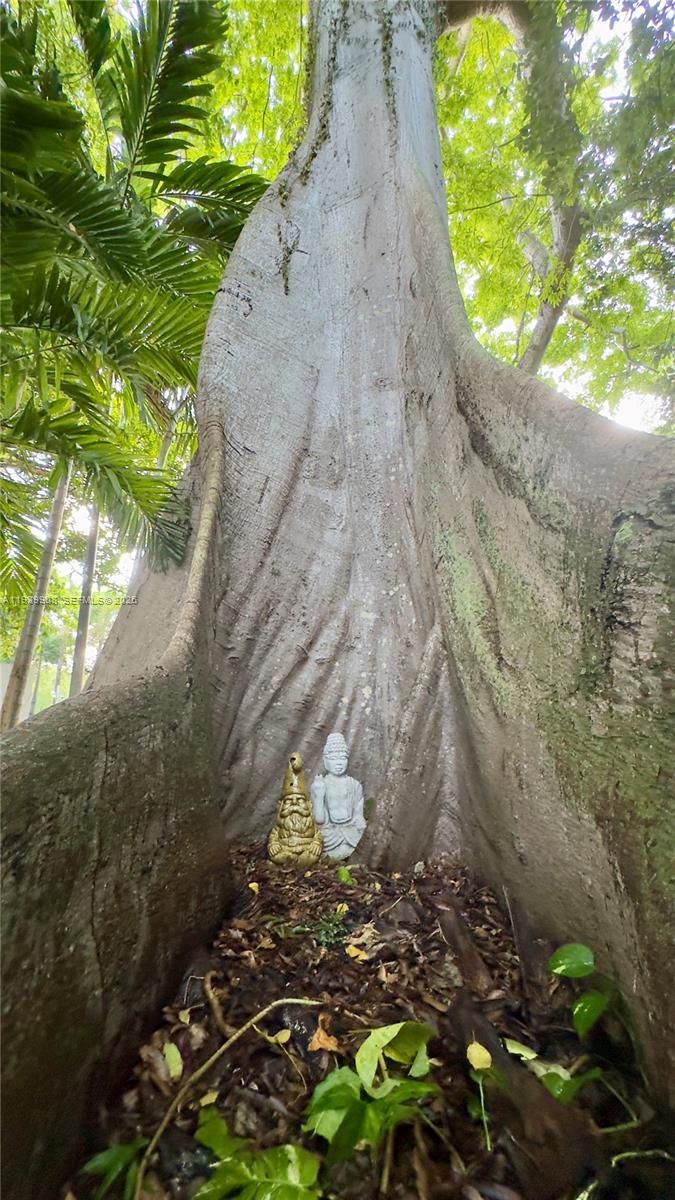 770 Northeast 69th Street, Unit 6F Miami, FL 33138 - Photo 47 of 47 a view of a backyard of the house
