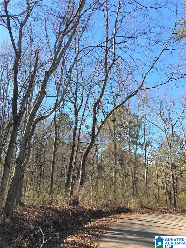 6866 Blueberry Lane, Unit 1 Morris, AL 35116 - Photo 2 of 3
