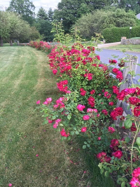 93 Birch Hill Road Stow, MA 01775 - Photo 10 of 42 Gallery Image 10