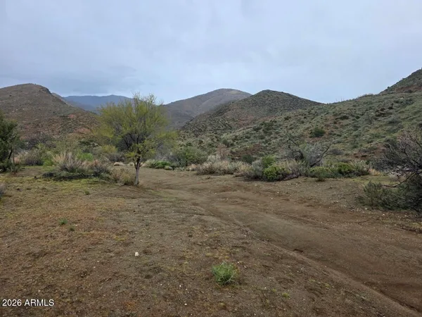 a view of a dry field with mountains in the background